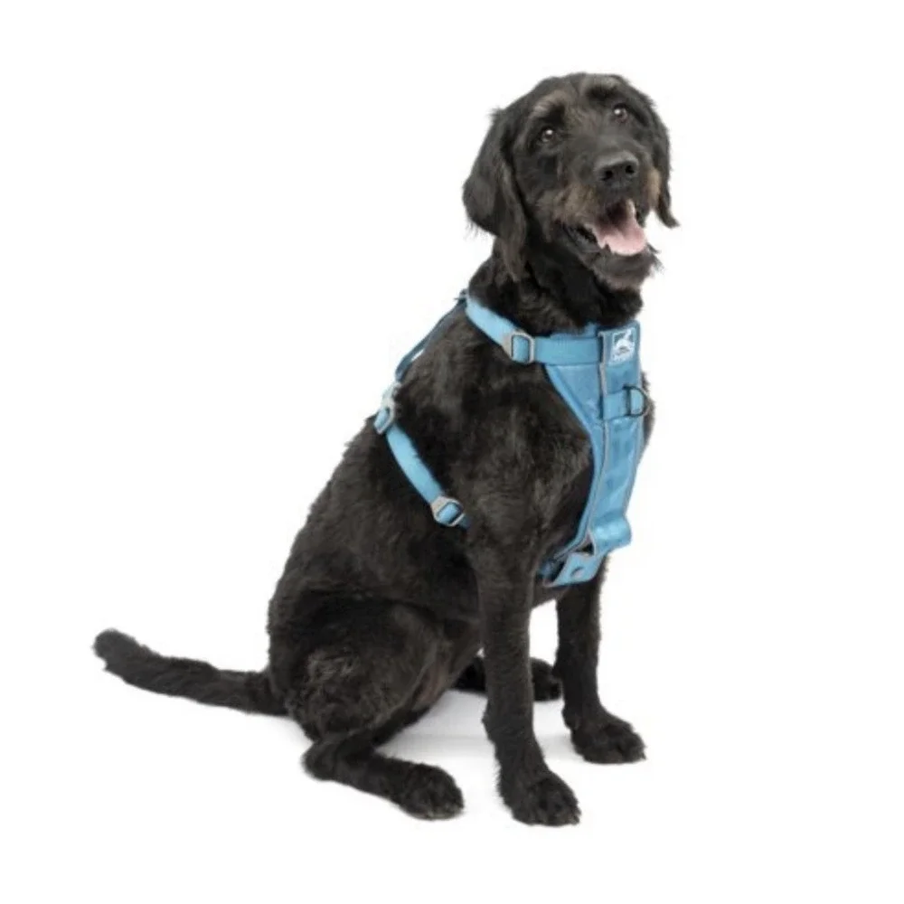 Kurgo Tru-Fit Smart Harness Quick Release Lg Dog 50-80 lbs